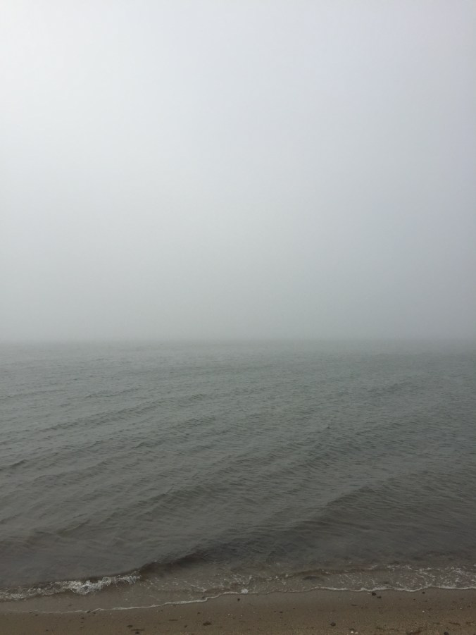 A33C53AD-5C87-4237-9216-6E4630D1BA13