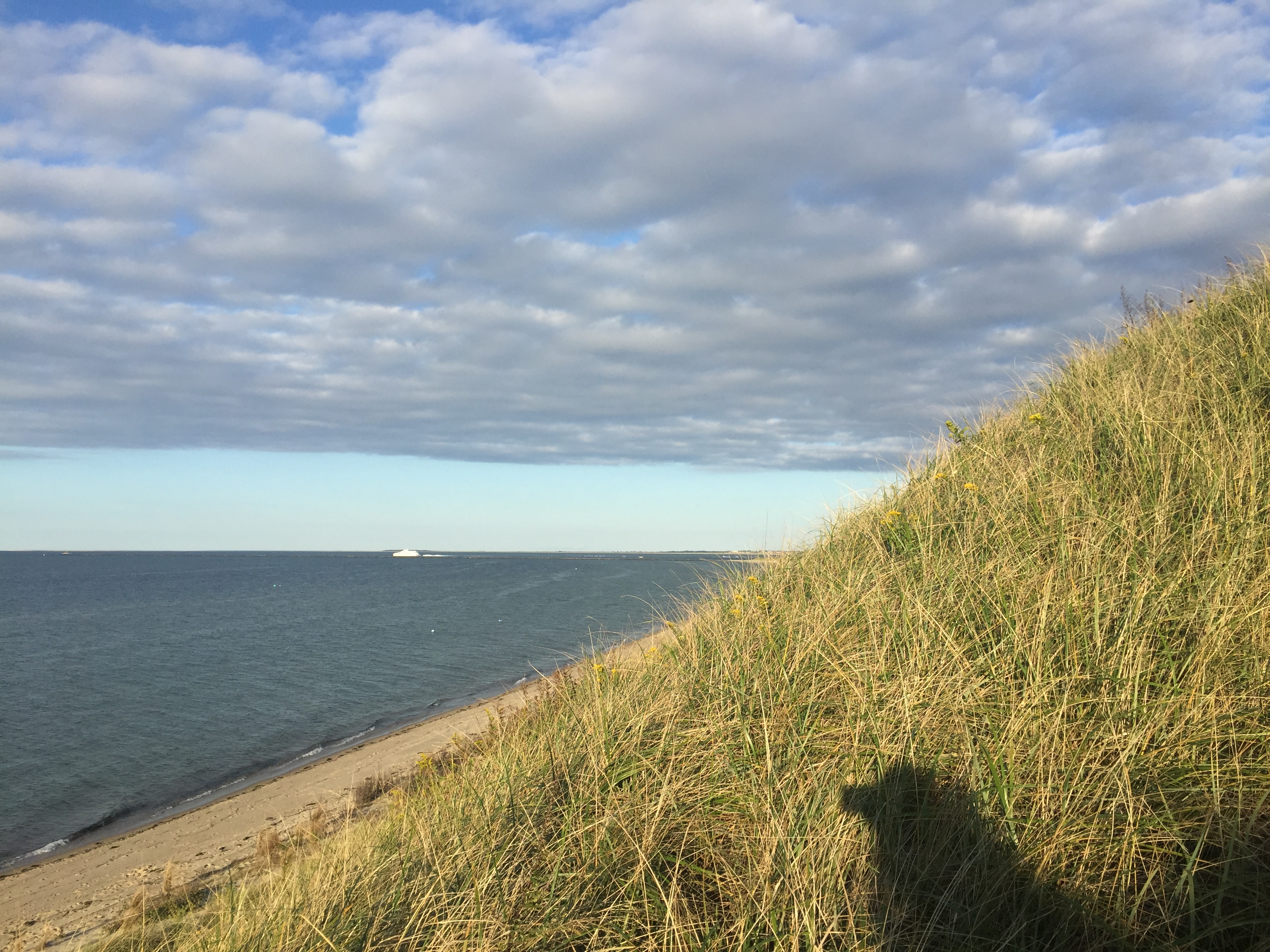 41D97538-84A0-4A32-8589-2003068331C3