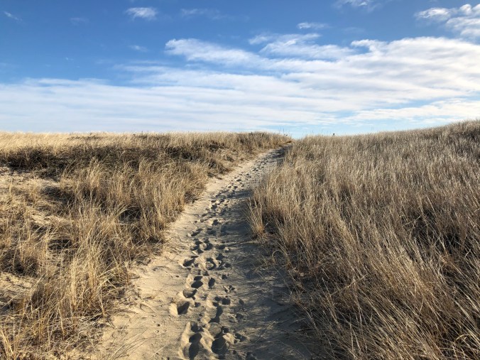 49BFE54A-6F28-4B1B-B842-15478A610CAB